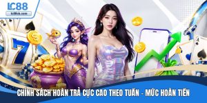 Chính sách hoàn trả cực cao theo tuần